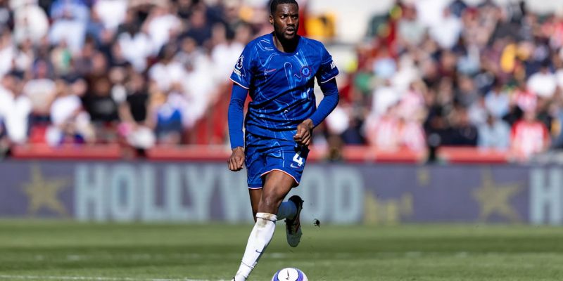 Sự nghiệp và thành công của Tosin Adarabioyo